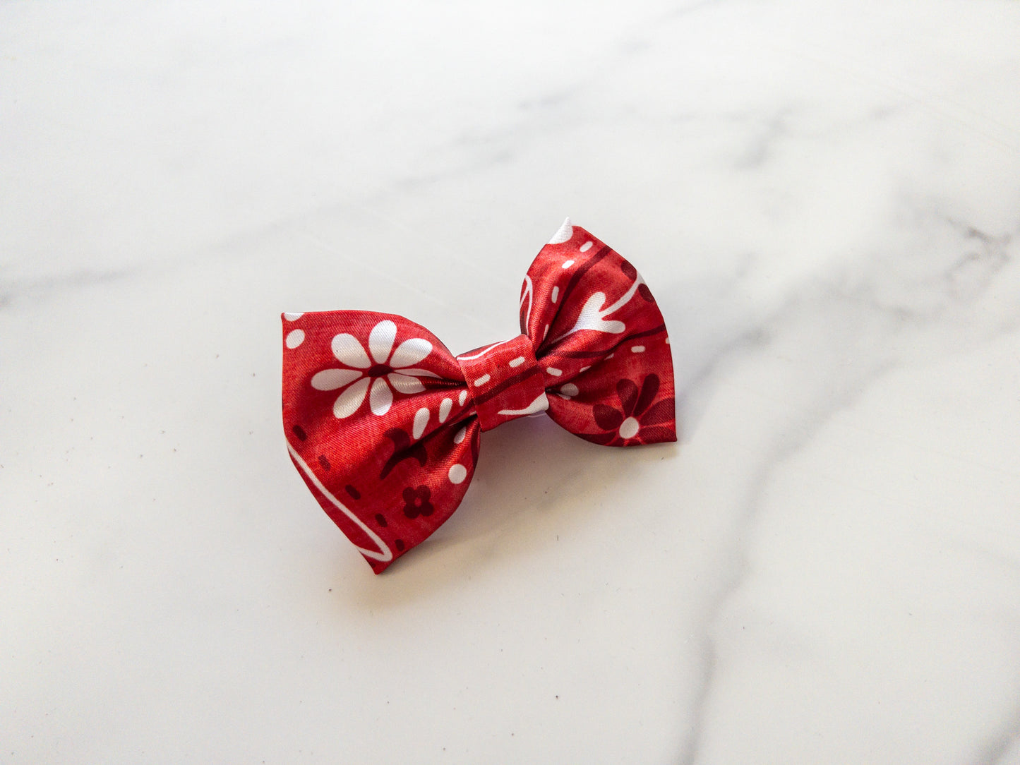 Studios Collection Mini Bow