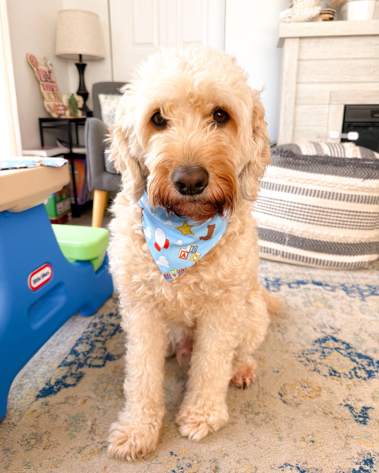 The GC Pet Bandana (PRE-ORDER)