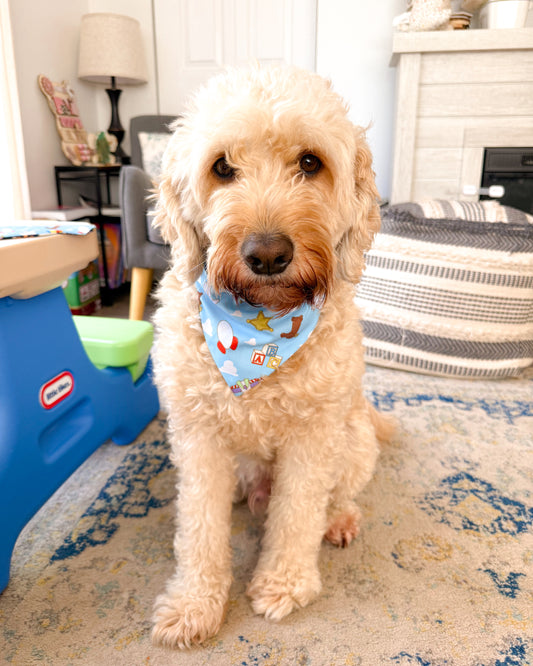 The GC Pet Bandana (PRE-ORDER)