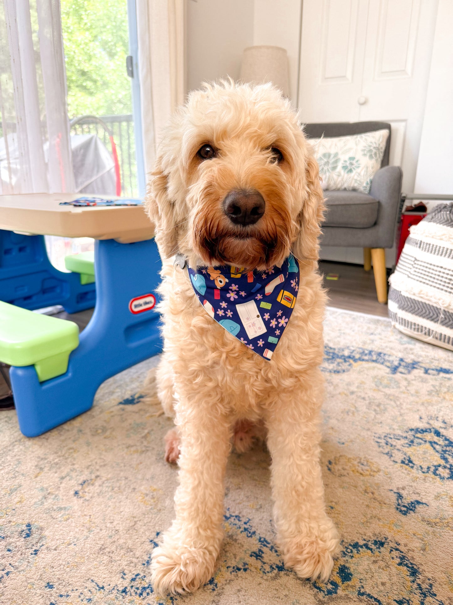 The GC Pet Bandana (PRE-ORDER)