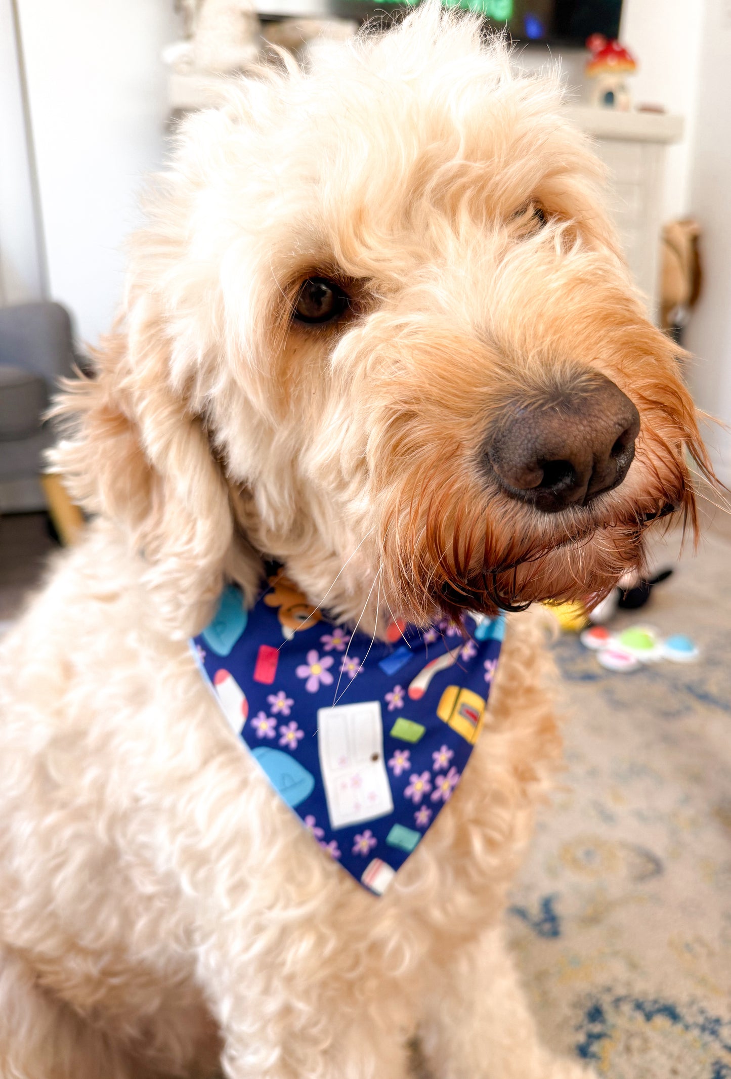 The GC Pet Bandana (PRE-ORDER)